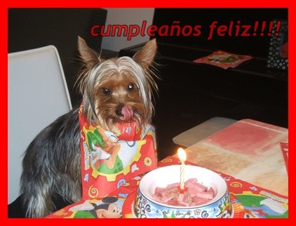 la cena de cumpleaños! la cena de cumpleaños!